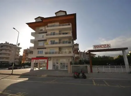 Mimoza Alanya
